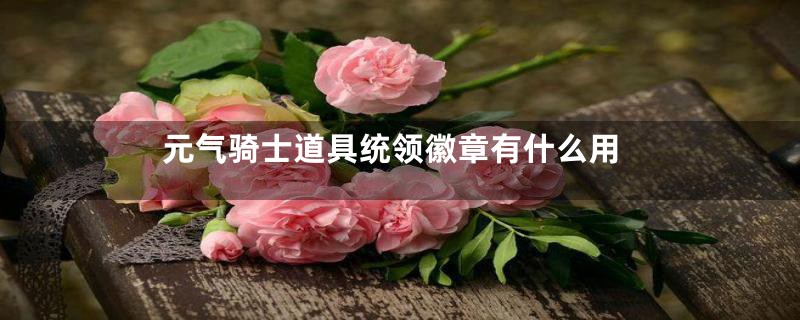 元气骑士道具统领徽章有什么用