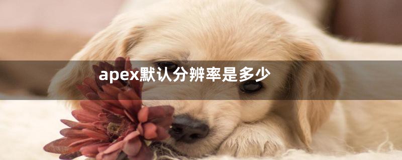 apex默认分辨率是多少