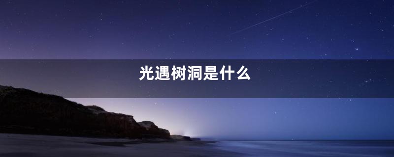 光遇树洞是什么