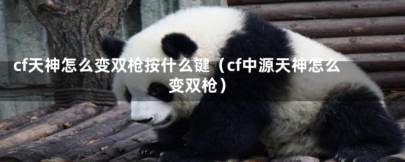 cf天神怎么变双枪按什么键（cf中源天神怎么变双枪）