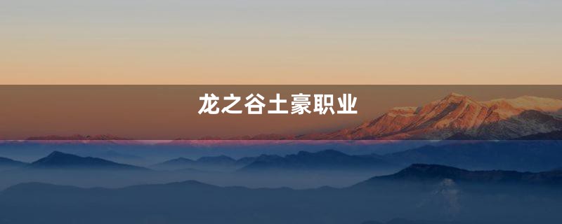 龙之谷土豪职业