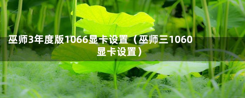 巫师3年度版1066显卡设置（巫师三1060显卡设置）