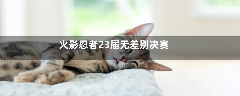 火影忍者23届无差别决赛