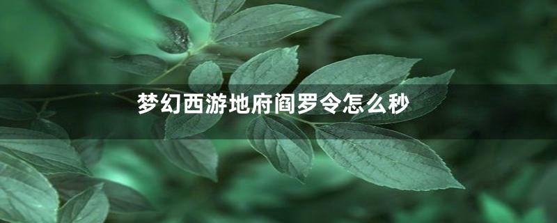 梦幻西游地府阎罗令怎么秒