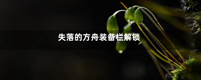 失落的方舟装备栏解锁