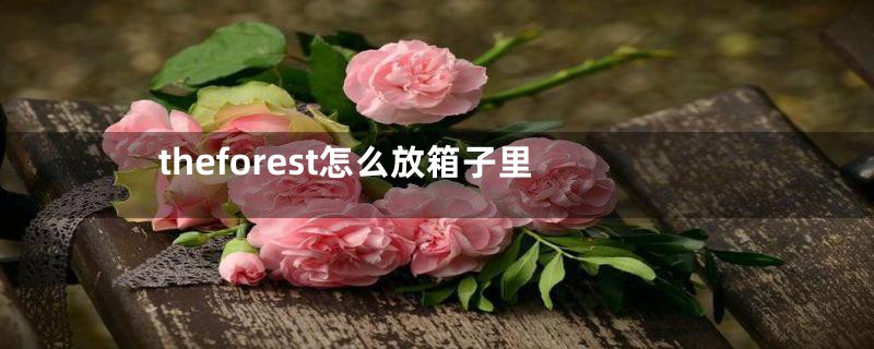 theforest怎么放箱子里