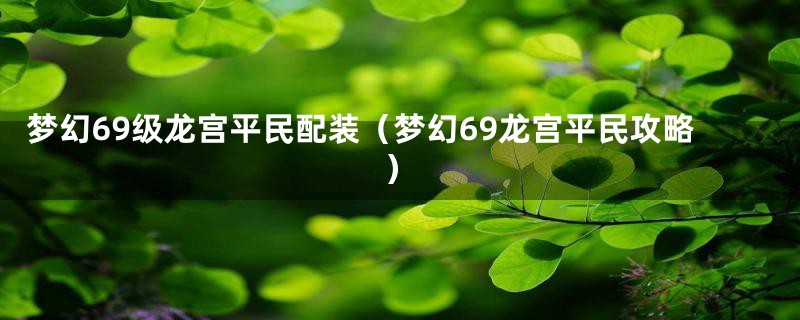 梦幻69级龙宫平民配装（梦幻69龙宫平民攻略）