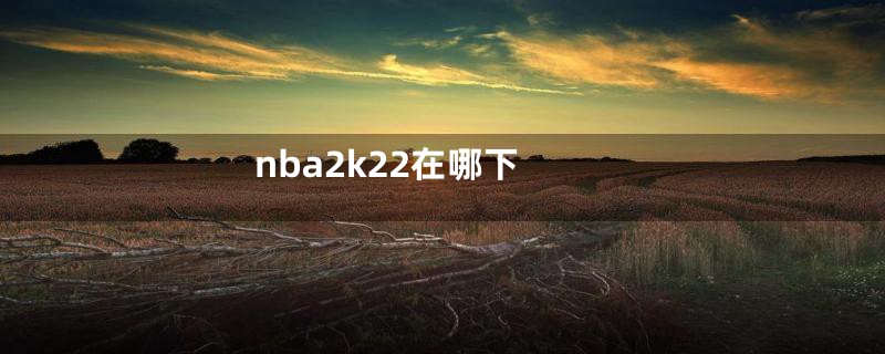 nba2k22在哪下