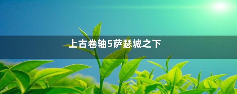 上古卷轴5萨瑟城之下