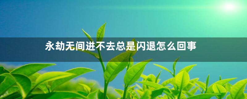 永劫无间进不去总是闪退怎么回事