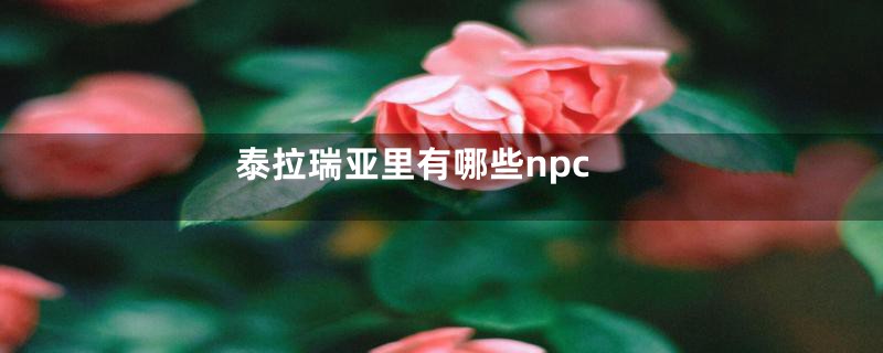 泰拉瑞亚里有哪些npc