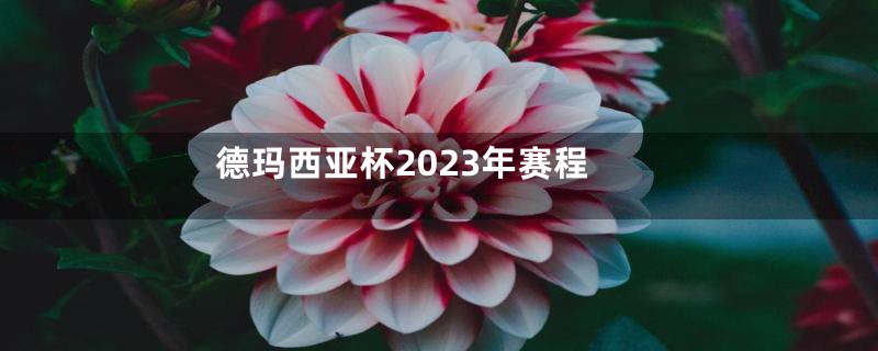 德玛西亚杯2023年赛程