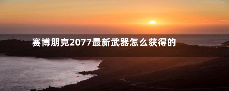 赛博朋克2077最新武器怎么获得的