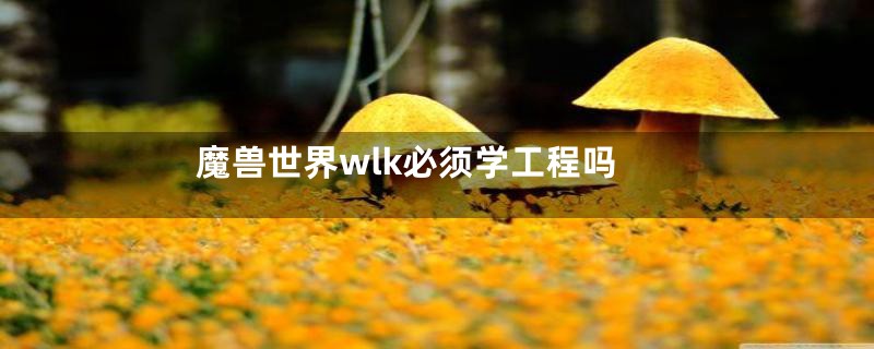 魔兽世界wlk必须学工程吗