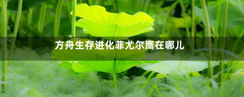 方舟生存进化菲尤尔鹰在哪儿