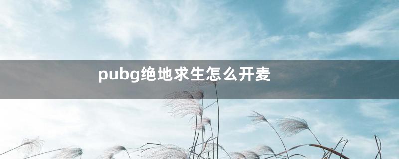 pubg绝地求生怎么开麦