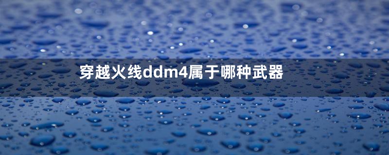 穿越火线ddm4属于哪种武器