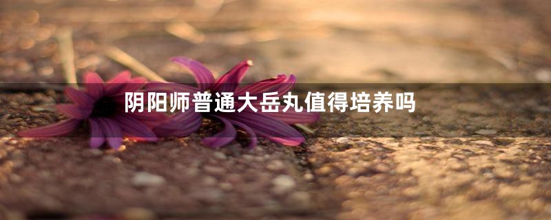 阴阳师普通大岳丸值得培养吗