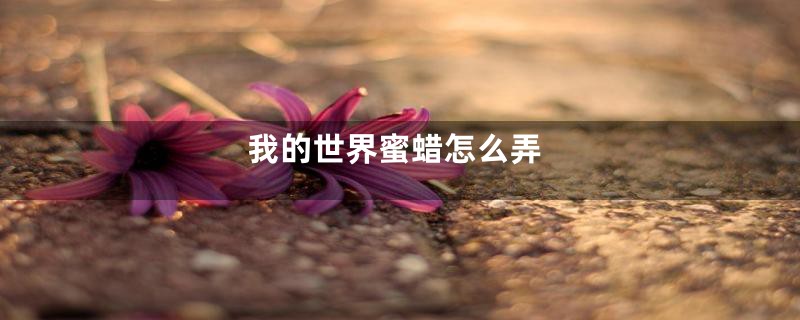 我的世界蜜蜡怎么弄