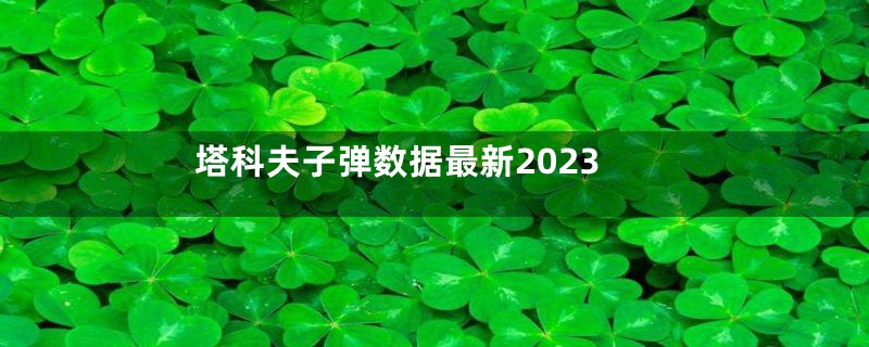 塔科夫子弹数据最新2023