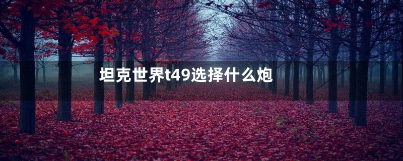 坦克世界t49选择什么炮