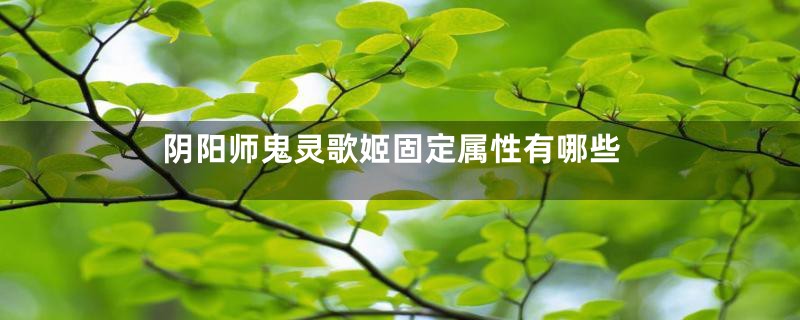 阴阳师鬼灵歌姬固定属性有哪些