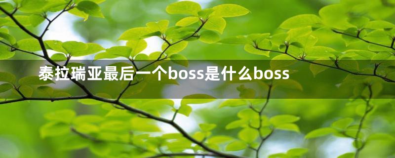 泰拉瑞亚最后一个boss是什么boss