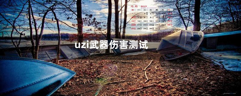 uzi武器伤害测试