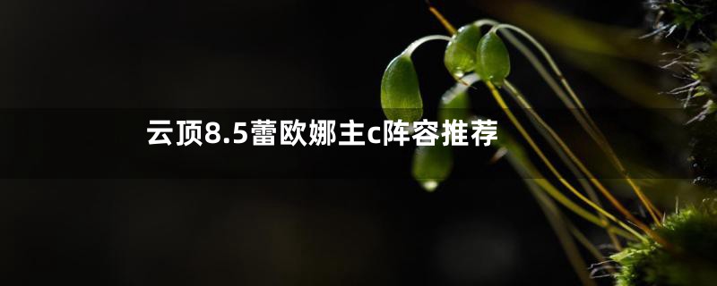 云顶8.5蕾欧娜主c阵容推荐