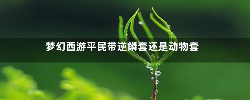 梦幻西游平民带逆鳞套还是动物套