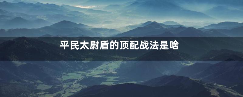 平民太尉盾的顶配战法是啥