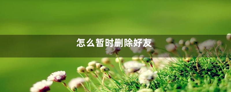 怎么暂时删除好友