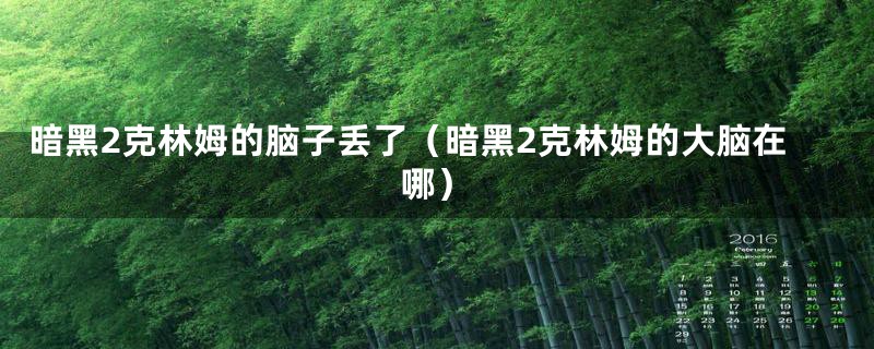 暗黑2克林姆的脑子丢了（暗黑2克林姆的大脑在哪）