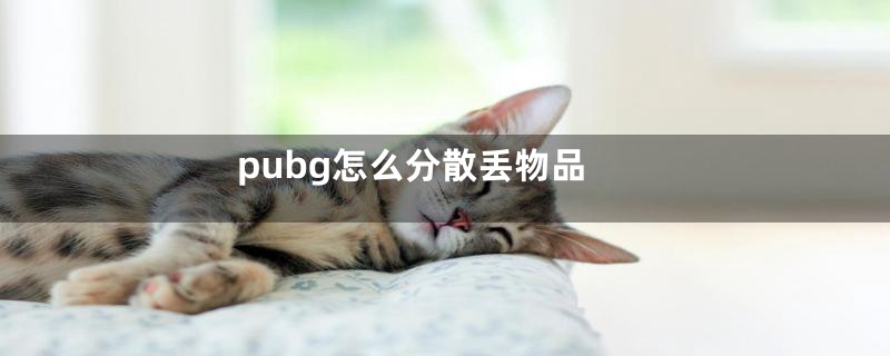 pubg怎么分散丢物品