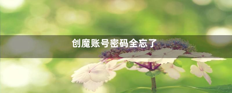 创魔账号密码全忘了