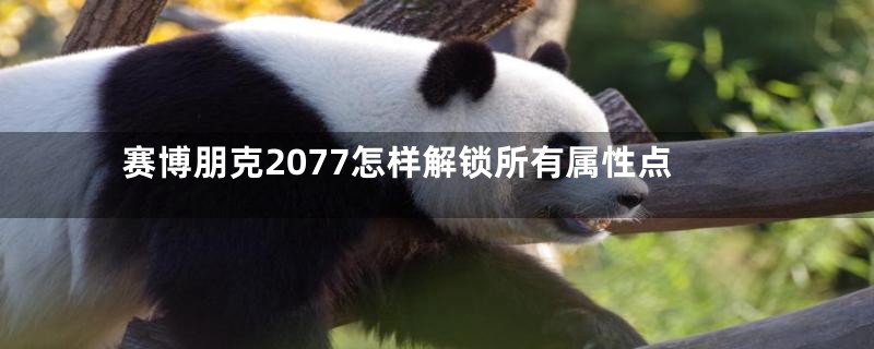 赛博朋克2077怎样解锁所有属性点