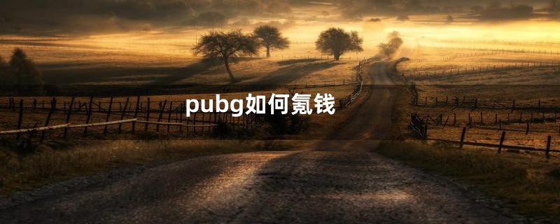 pubg如何氪钱