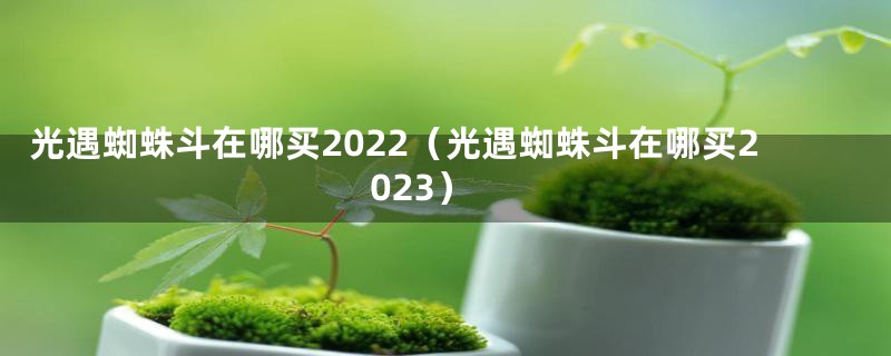 光遇蜘蛛斗在哪买2022（光遇蜘蛛斗在哪买2023）