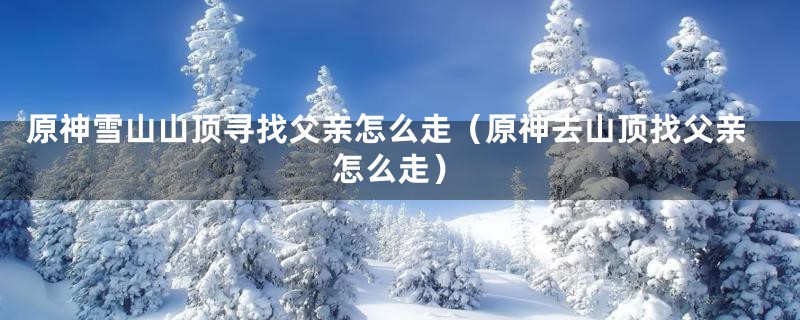 原神雪山山顶寻找父亲怎么走（原神去山顶找父亲怎么走）