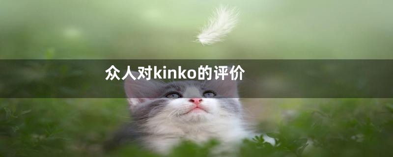 众人对kinko的评价