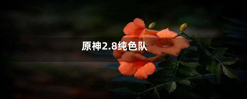 原神2.8纯色队