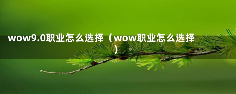 wow9.0职业怎么选择（wow职业怎么选择）