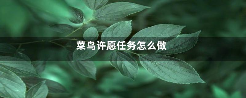 菜鸟许愿任务怎么做