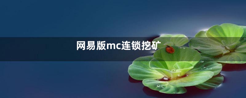 网易版mc连锁挖矿