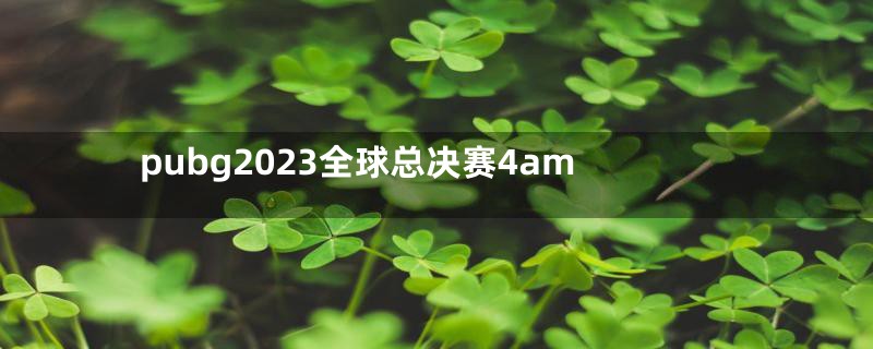 pubg2023全球总决赛4am