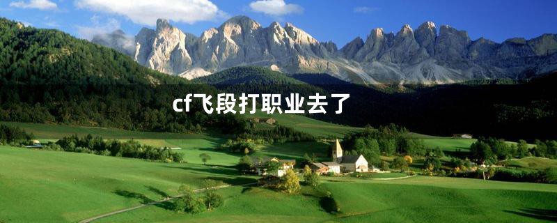 cf飞段打职业去了