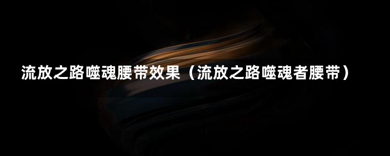 流放之路噬魂腰带效果（流放之路噬魂者腰带）