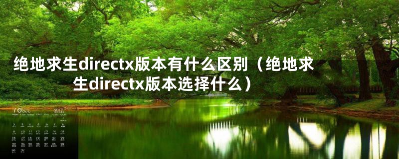 绝地求生directx版本有什么区别（绝地求生directx版本选择什么）