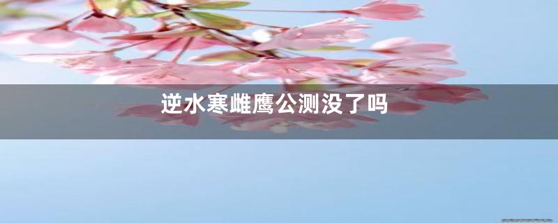 逆水寒雌鹰公测没了吗