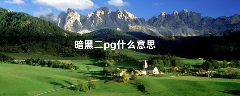 暗黑二pg什么意思